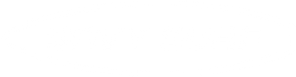 Savy